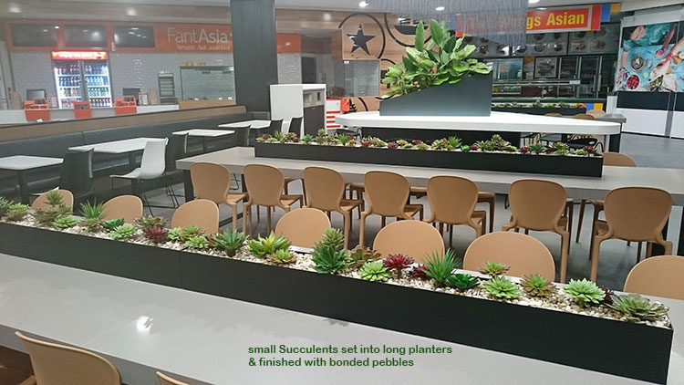 Table-Planters in Mall Eatery... image 9