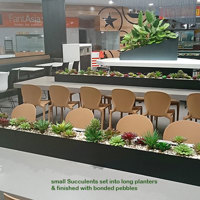 Table-Planters in Mall Eatery... poplet image 8