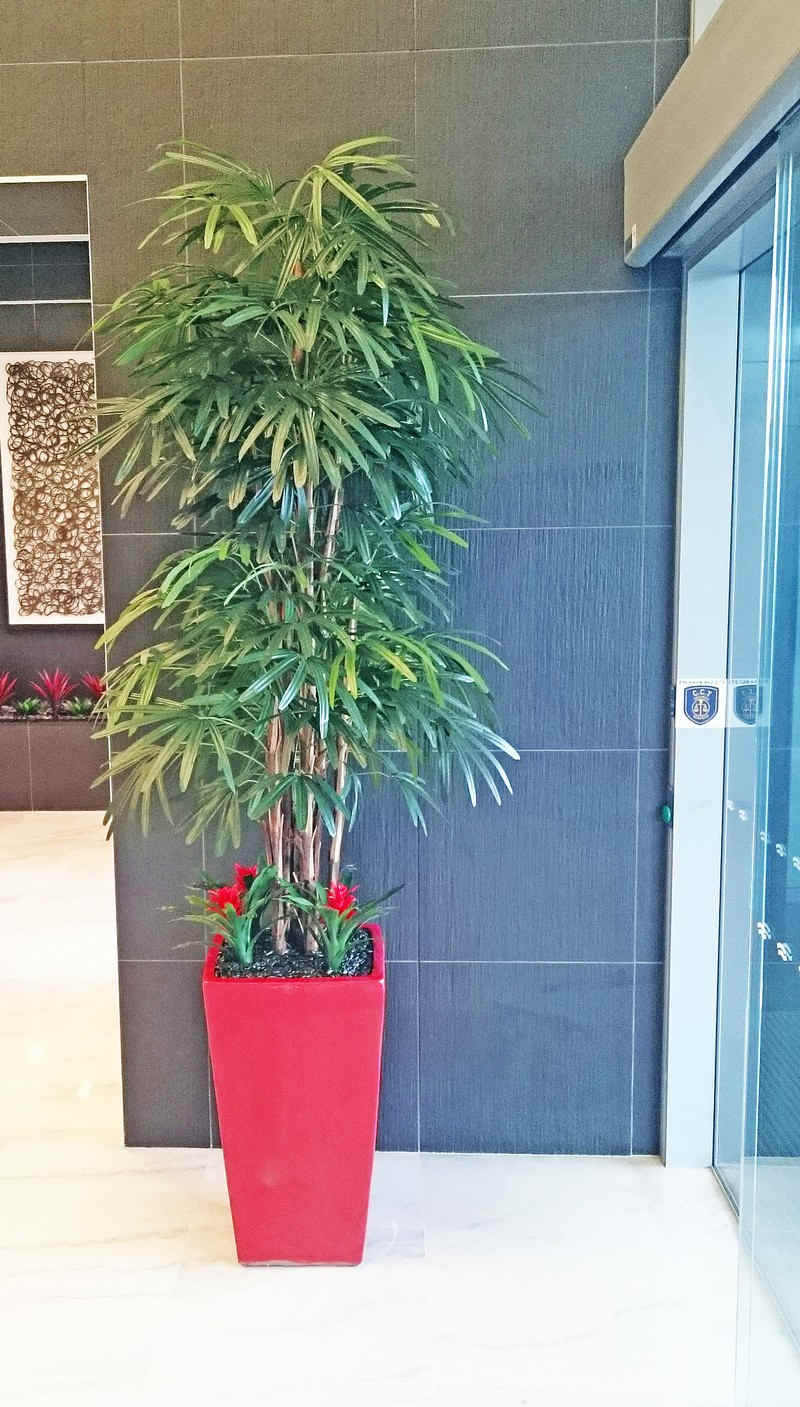 Plant revamp in Apartment Foyer image 5