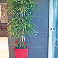 Plant revamp in Apartment Foyer poplet image 4