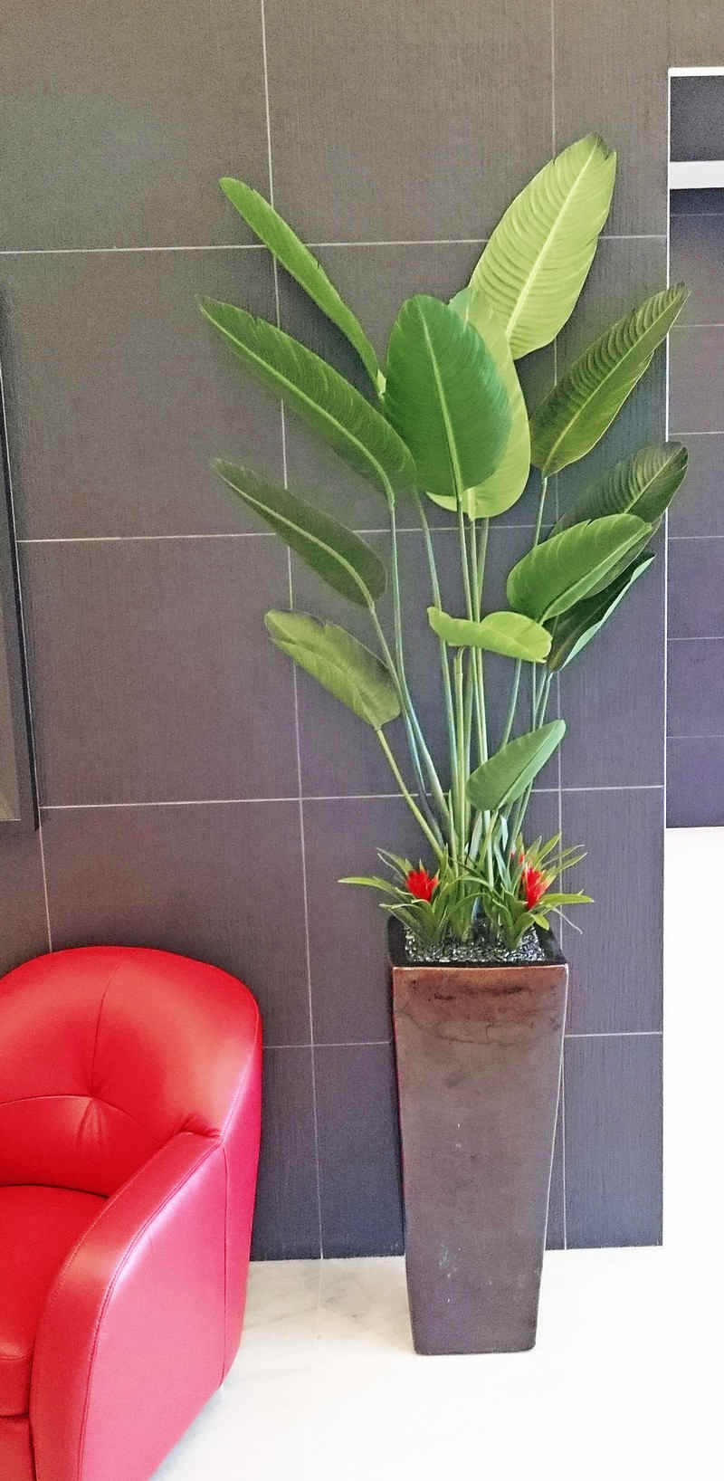 Plant revamp in Apartment Foyer image 3