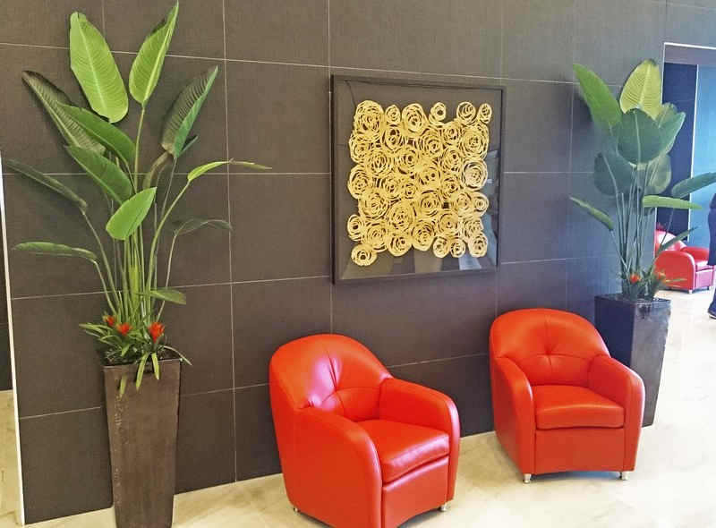 Plant revamp in Apartment Foyer image 4