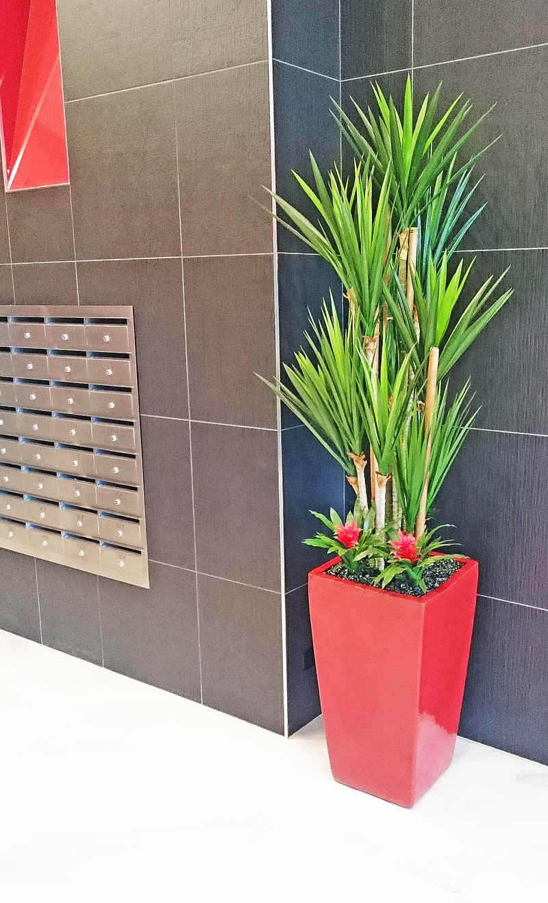 Plant revamp in Apartment Foyer image 2