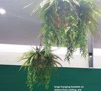 Green-makeover for Regional mall...