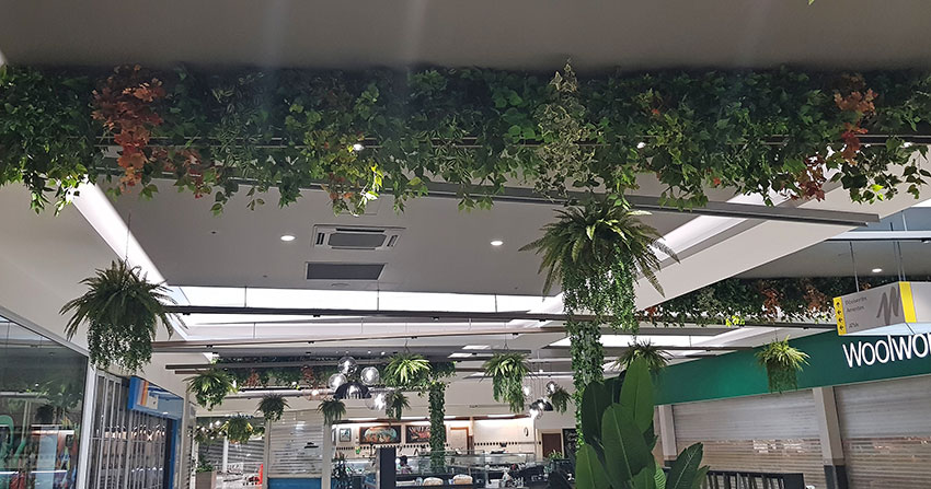 Green-makeover for Regional mall... image 10