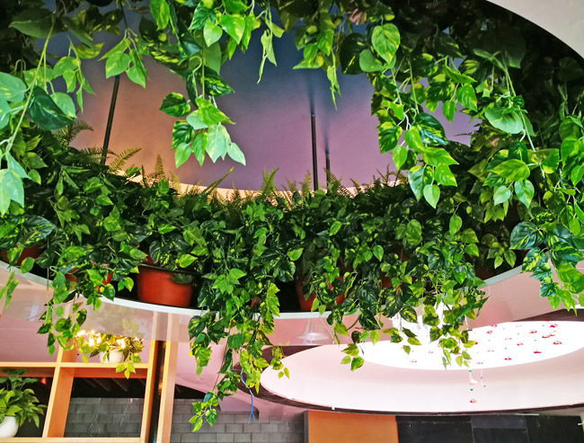 Raised Planter & Green-Wall in Club Foyer image 2