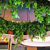 Raised Planter & Green-Wall in Club Foyer poplet image 1