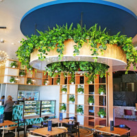 Raised Planter & Green-Wall in Club Foyer poplet image 4