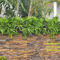 Artificial Green Wall finishes off pool side stone-wall... poplet image 5