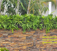 Artificial Green Wall finishes off pool side stone-wall...