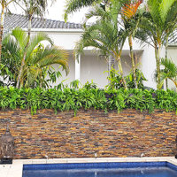 Artificial Green Wall finishes off pool side stone-wall... poplet image 6