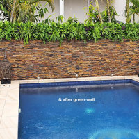 Artificial Green Wall finishes off pool side stone-wall... poplet image 2