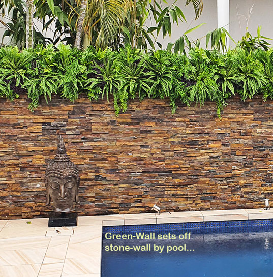 Artificial Green Wall finishes off pool side stone-wall...