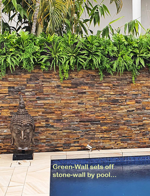 Artificial Green Wall finishes off pool side stone-wall...