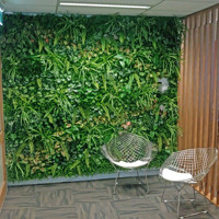 Office Entry Revamped with Green-Wall poplet image 3