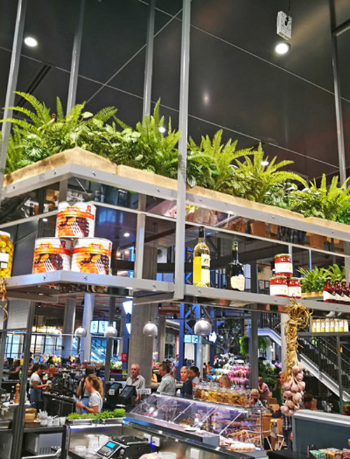 Food Mall area assorted eateries with lotsa greenery