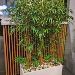 Trough Planters- with Bamboos 1.9m tall - artificial plants, flowers & trees - image 4