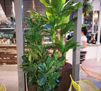 Food Mall area assorted eateries with lotsa greenery