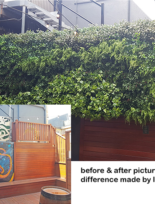 Before & After Shots..... Green-Walls 6