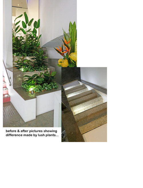 Before & After Shots...... low Planters 3