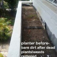 Outdoor raised planter boxes- maintenance problem solved by UV-treated artificials! poplet image 1