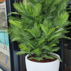 Cane Palm 1.75m UV stable - artificial plants, flowers & trees - image 5