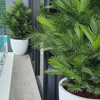 large, lush UV-treated Palms for penthouse balcony... poplet image 10
