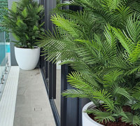 Large, lush UV-treated Palms for penthouse balcony