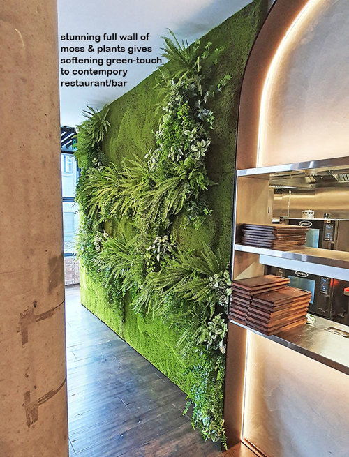 Mossy plant-wall gives softening 'green-touch' to modern restaurant/bar...