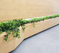 Before & After Shots...... low Planters 3