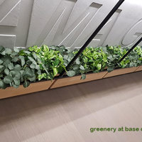 Modern 'open-plan' Offices use greenery throughout... poplet image 3