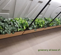 Modern 'open-plan' Offices use greenery throughout...