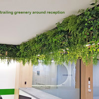 Modern 'open-plan' Offices use greenery throughout... poplet image 2