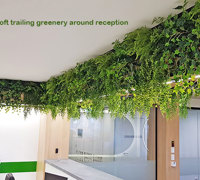 Modern 'open-plan' Offices use greenery throughout...