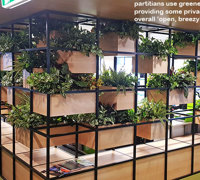 Modern 'open-plan' Offices use greenery throughout...