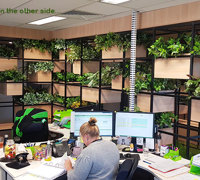 Modern 'open-plan' Offices use greenery throughout...