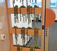 Modern 'open-plan' Offices use greenery throughout...