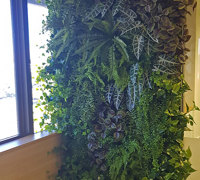 Modern 'open-plan' Offices use greenery throughout...