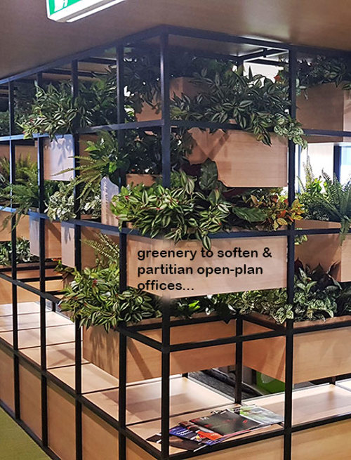 Modern 'open-plan' Offices use greenery throughout...