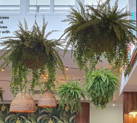 Hanging-Baskets give the finishing 'green-touch' to an excellent tavern makeover...