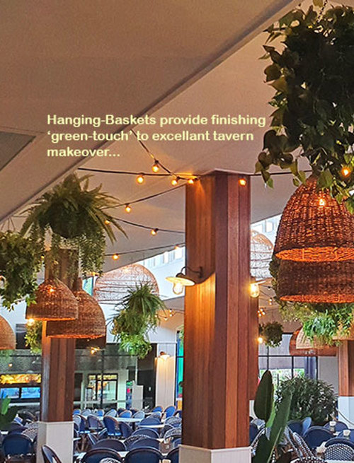 Hanging-Baskets give the finishing 'green-touch' to an excellent tavern makeover...