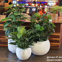 Hanging-Baskets give the finishing 'green-touch' to an excellent tavern makeover... poplet image 9