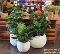 Hanging-Baskets give the finishing 'green-touch' to an excellent tavern makeover...