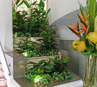 Before & After Shots...... low Planters 3