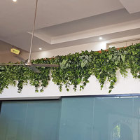 Easy-way to add greenery to a bare wall- resort foyer gets a 'green-hello' poplet image 6