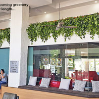 Easy-way to add greenery to a bare wall- resort foyer gets a 'green-hello' poplet image 8