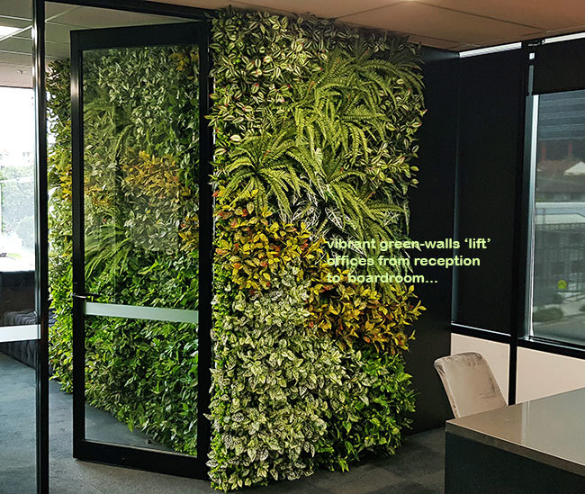 Offices get a 'lift' with vibrant green-walls from reception to boardroom...