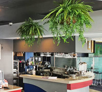 Surf Club's new green-room!