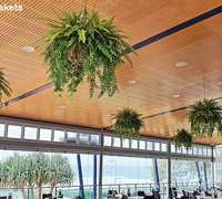 Surf Club's new green-room!