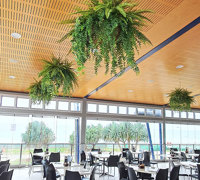 Surf Club's new green-room!